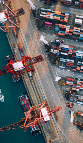 untitled design (15)